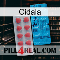 Cidala new14